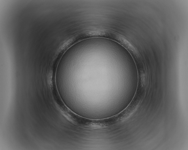 X0000110970490200906261412