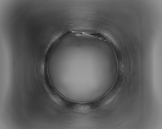 X0000110970491200906261412