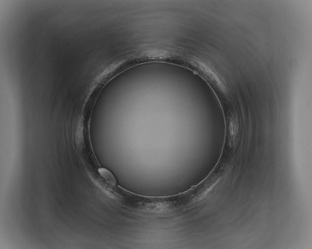 X0000110970492200906261412