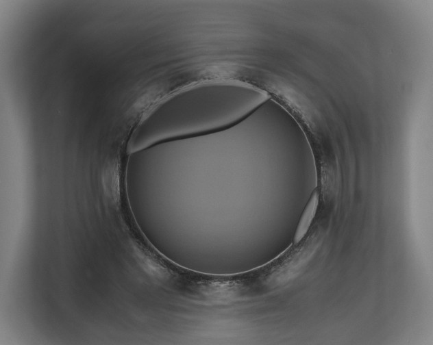 X0000110970493200906261412