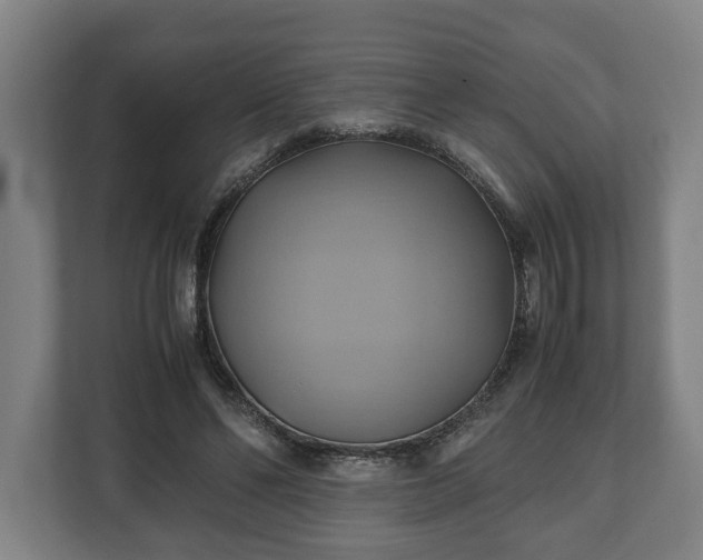 X0000110970494200906261412