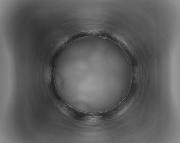 X0000110970495200906261412