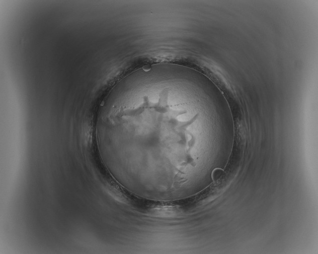 X0000110970499200906261412