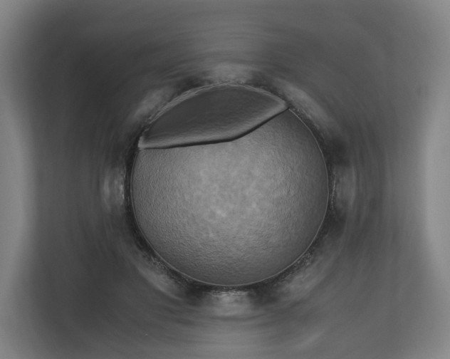 X0000110970501200906261412