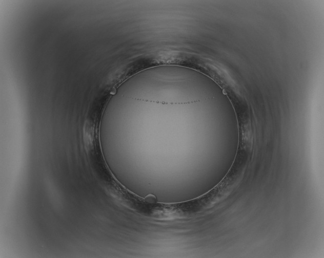 X0000110970503200906261412