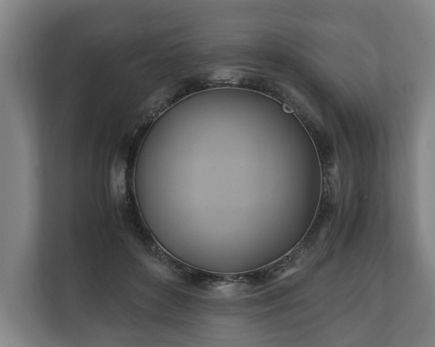 X0000110970504200906261411