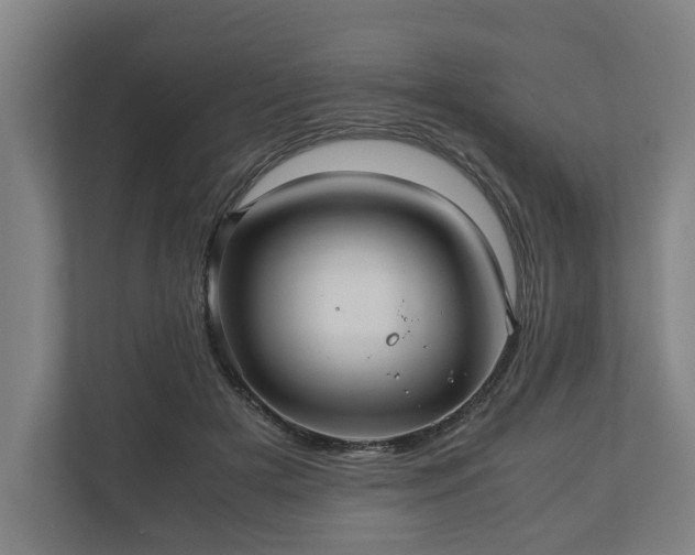 X0000110970505200906261411