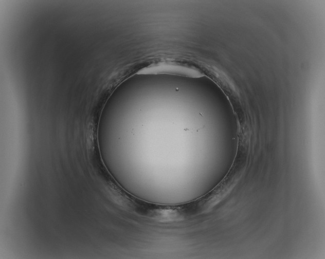 X0000110970509200906261411