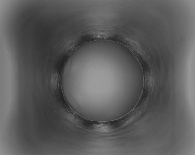 X0000110970511200906261411