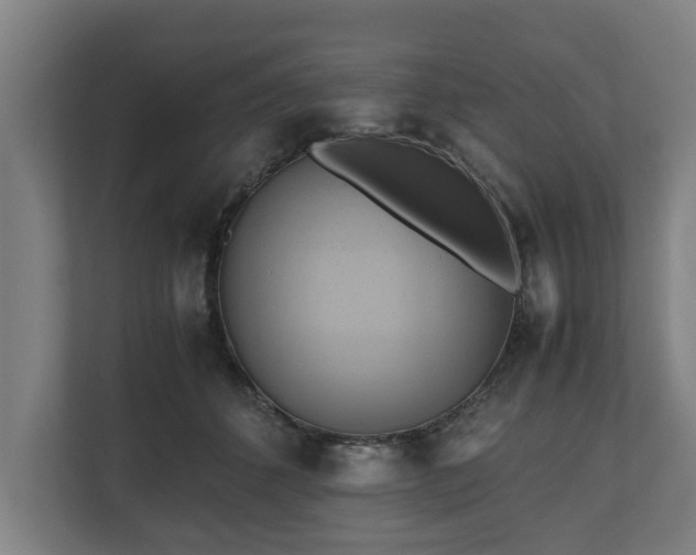 X0000110970512200906261411