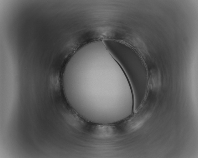 X0000110970520200906261411