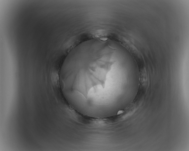 X0000110970523200906261411