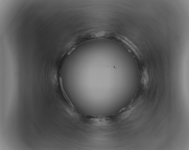 X0000110970524200906261411