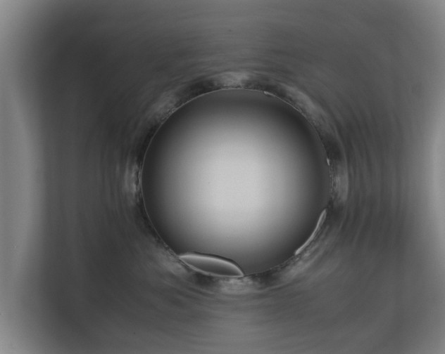 X0000110970525200906261411