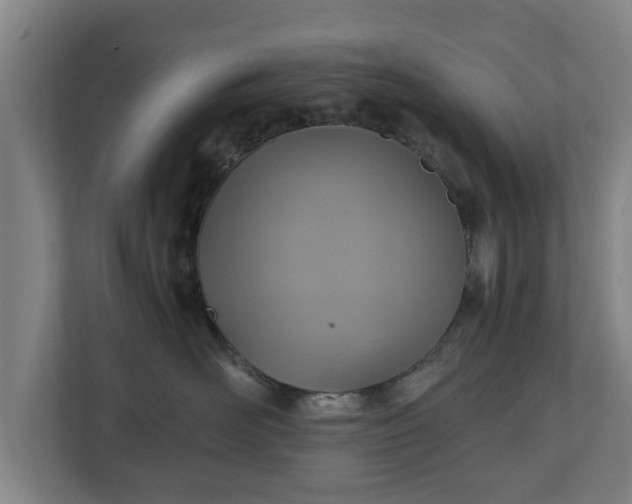 X0000110970526200906261411