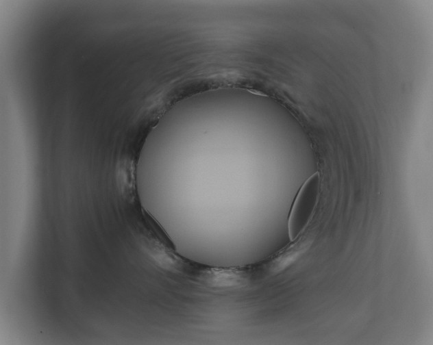 X0000110970528200906261411