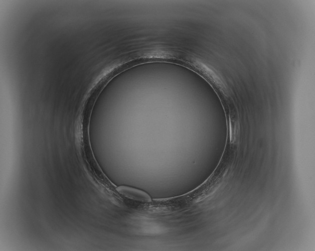 X0000110970531200906261410