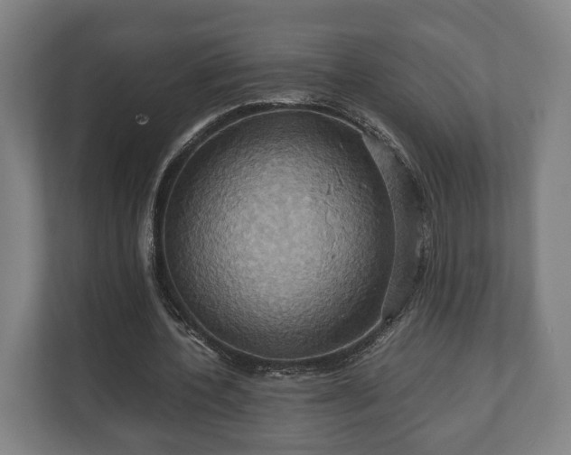 X0000110970532200906261410