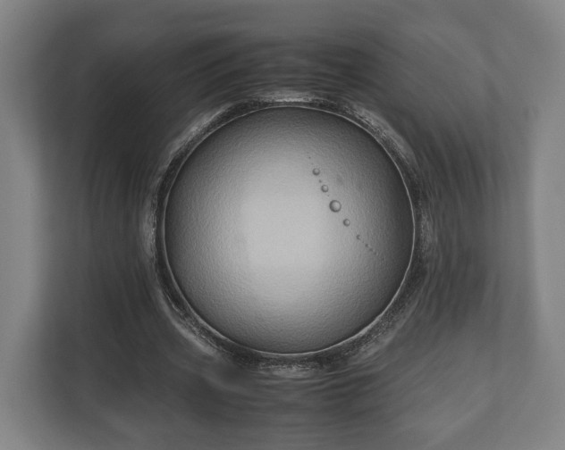 X0000110970533200906261410