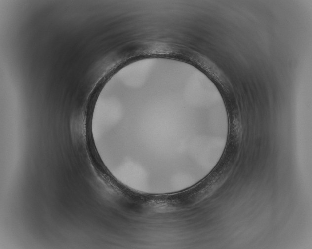 X0000110970534200906261411