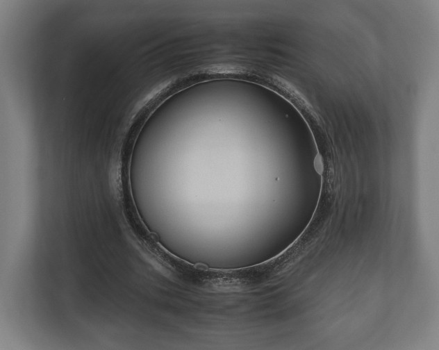 X0000110970535200906261411