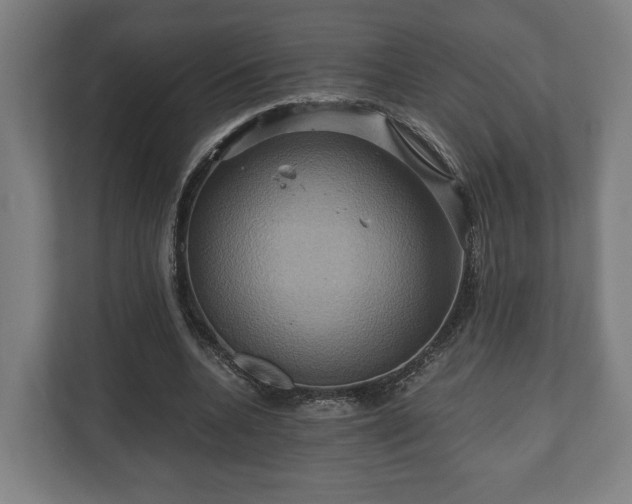 X0000110970536200906261411