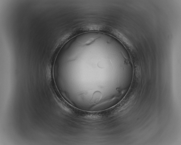 X0000110970537200906261411