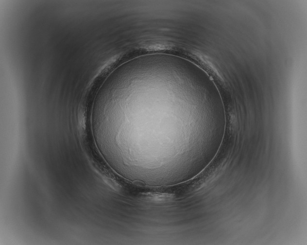 X0000110970539200906261411