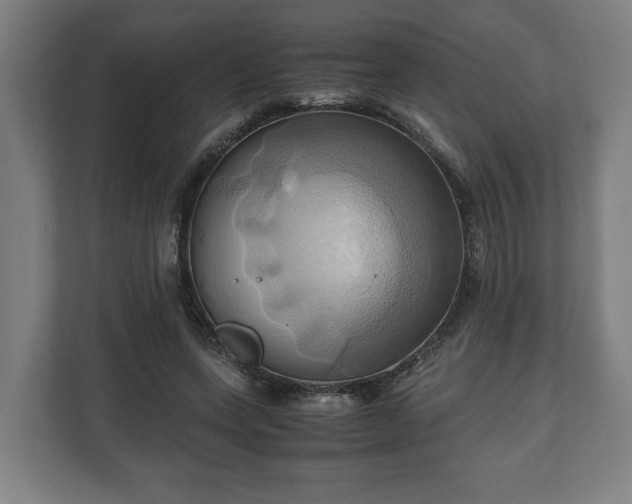 X0000110970543200906261411