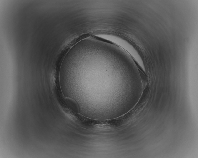 X0000110970544200906261411