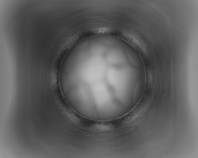 X0000110970545200906261411