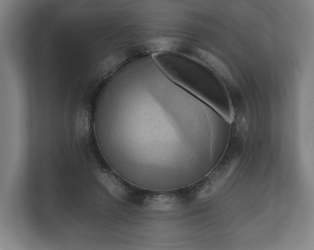 X0000110970546200906261411