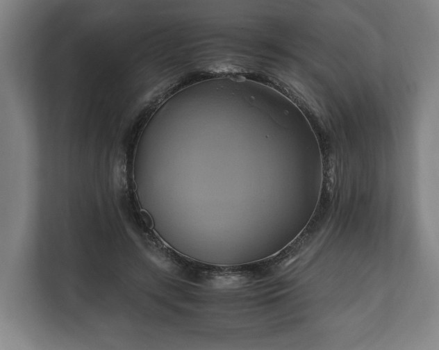 X0000110970547200906261411