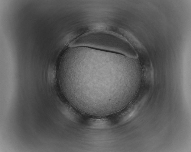 X0000110970548200906261411