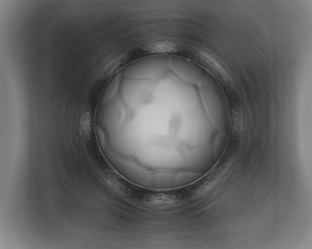 X0000110970549200906261411