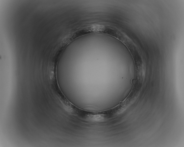 X0000110970553200906261411