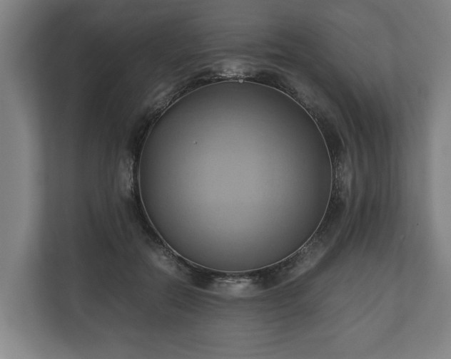 X0000110970554200906261411