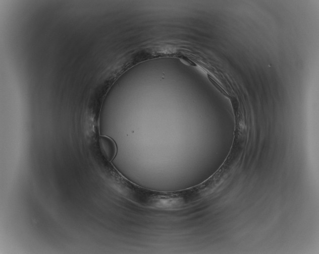 X0000110970555200906261411