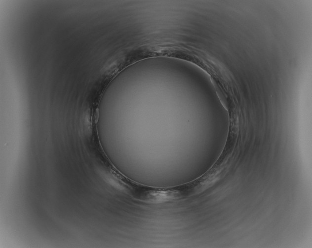 X0000110970558200906261411