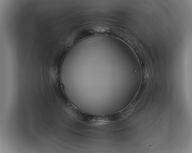 X0000110970559200906261411