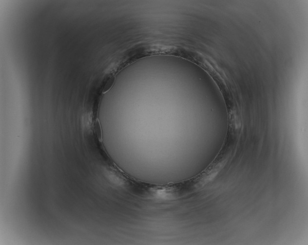 X0000110970564200906261411