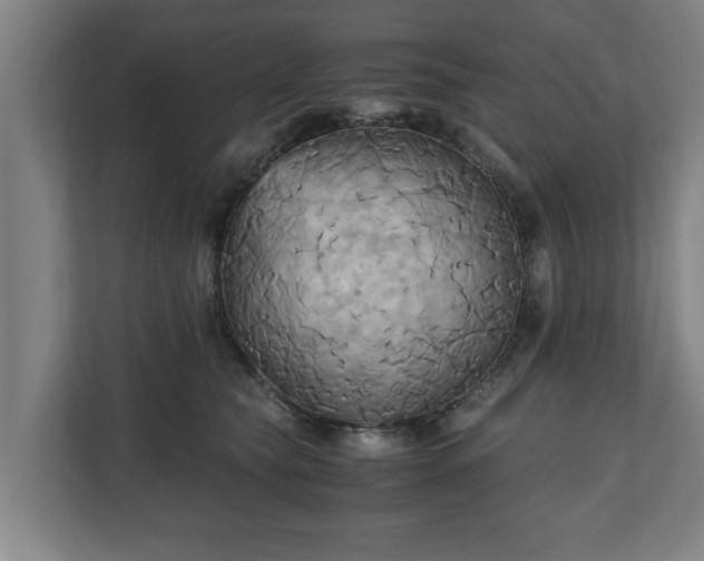 X0000110970565200906261411