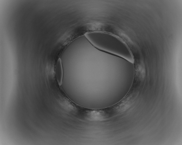 X0000110970566200906261411