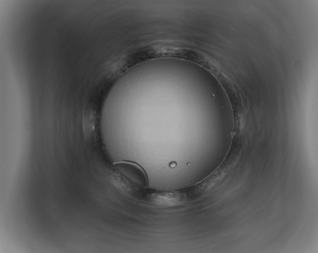 X0000110970567200906261411