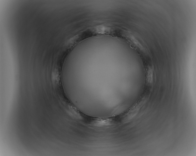 X0000110970569200906261411