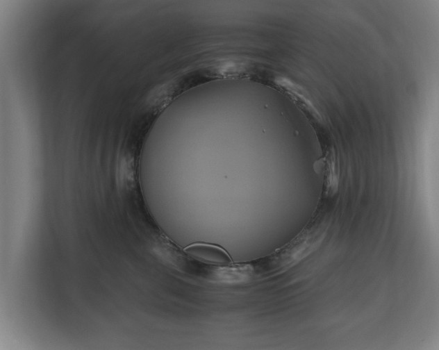 X0000110970571200906261411