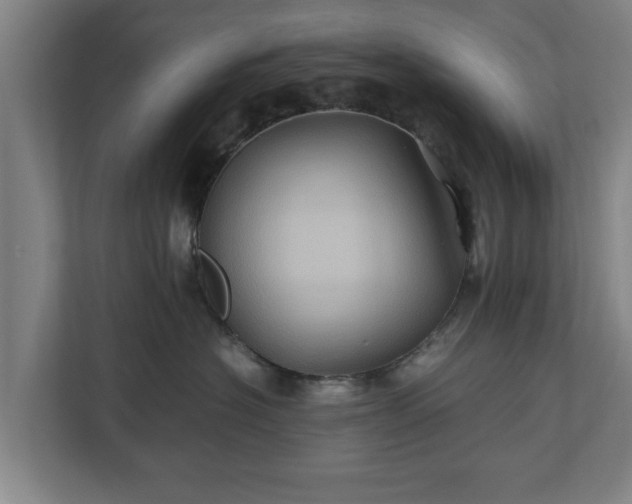 X0000110970574200906261411