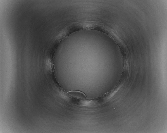 X0000110970575200906261411