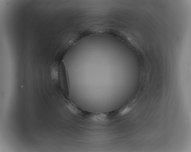 X0000110970576200906261411