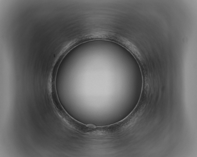 X0000110970578200906261410